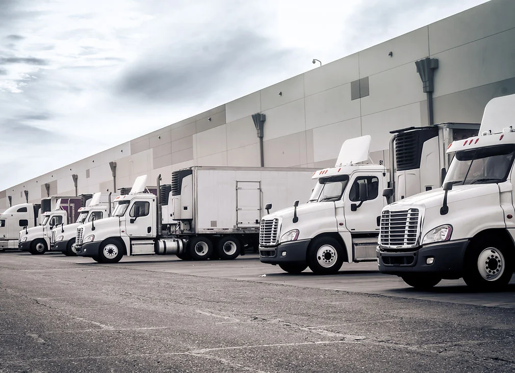 Transport and logistics companies