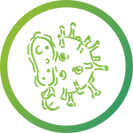 Toda Pharma - Maladies infectieuses